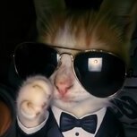 morpheus